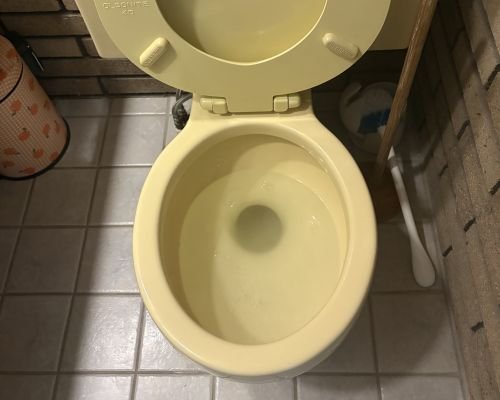 after-photo
