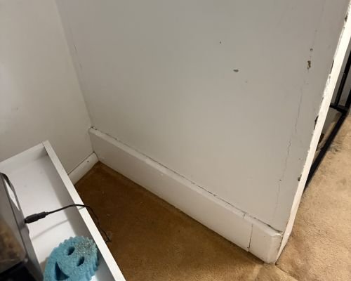 after-photo