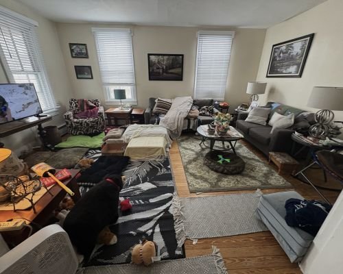 before-photo